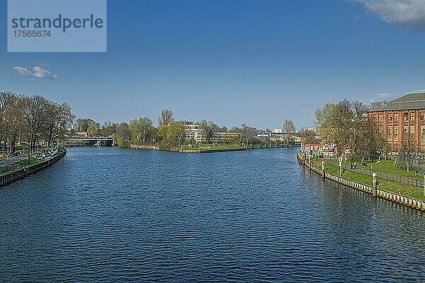 Spreemündung in die Havel  Spandau  Berlin  Deutschland  Europa