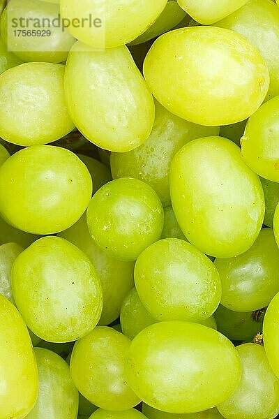 Grüne Weintrauben Trauben Weintraube Traube Früchte Frucht Hintergrund von oben