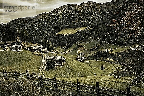 Alte Bauernhöfe auf Bergwiese  Ultental  Meran  Südtirol  Italien  Europa