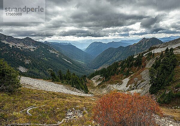 Blick ins Tal des Butter Creek  herbstliche Berglandschaft  Mount Rainier National Park  Washington  USA  Nordamerika