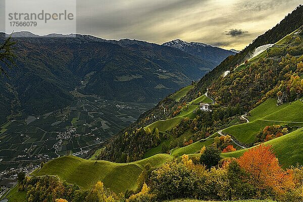 Bergbauernhof in herbstlicher Almwiesen Landschaft  Naturns  Südtirol  Italien  Europa