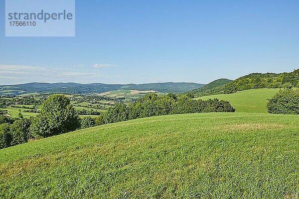 Wiesen und Hecken an einem sonnigen Tag  Slowakei  Europa