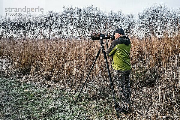 Wildlife-Fotograf im Marschland  Devon  England  Großbritannien  Europa