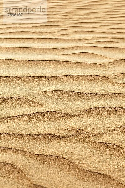 Wüste Sand in Dubai  Vereinigte Arabische Emirate  Asien