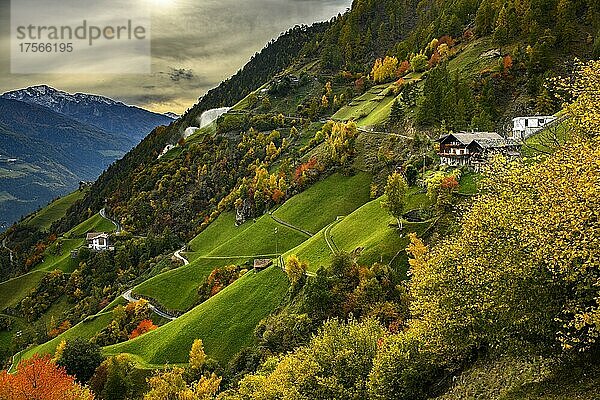 Bergbauernhof in herbstlicher Almwiesen Landschaft  Naturns  Südtirol  Italien  Europa