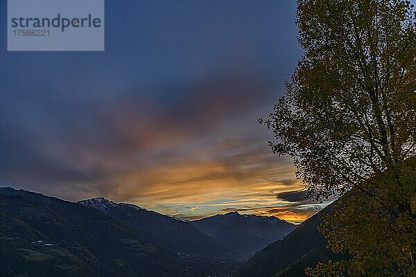 Sonnenuntergang über dem Vintschgau mit herbstlichem Laubbaum und südtiroler Bergen im Hintergrund  Naturns  Südtirol  Italien  Europa