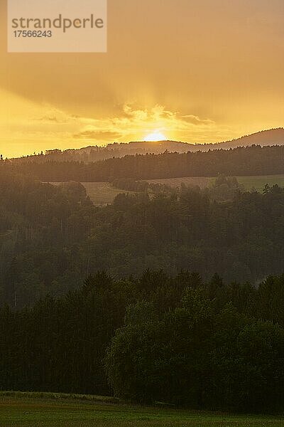 Sonnenuntergang über einem kleinen Hügel  Bayerischer Wald  Bayern  Deutschland  Europa