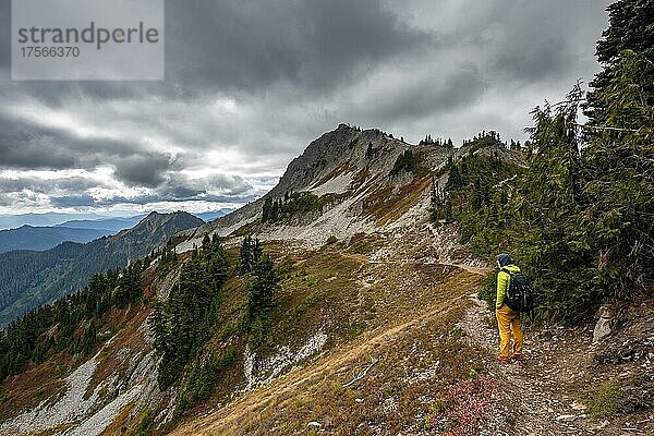 Wanderer auf einem Wanderweg  herbstliche Berglandschaft  hinten Denman Peak  Mount Rainier National Park  Washington  USA  Nordamerika