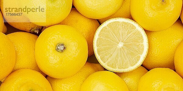 Zitronen Früchte Zitrone Frucht von oben Panorama