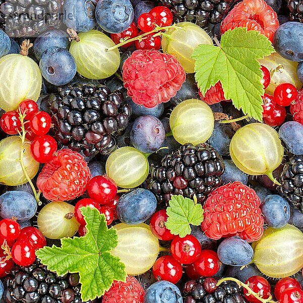 Beeren Früchte Beere Frucht wie Erdbeeren Erdbeere frische Blaubeeren Blaubeere von oben quadratisch