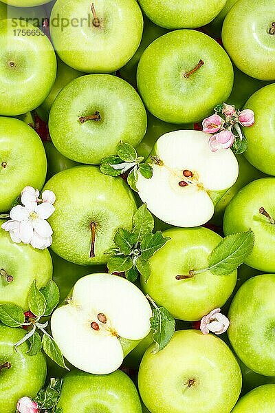 Äpfel Früchte grüne Apfel Frucht Hintergrund mit Blüten und Blättern