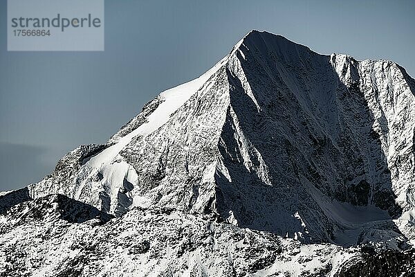 Verschneiter Gipfel der Königspitze bei blauer Stunde  Martelltal  Naturns  Südtirol  Italien  Europa