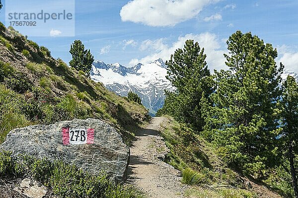 Rot-weiße Markierung  Wanderweg 27B  Pfad  Zirbelkiefern (Pinus cembra)  Zirben  Speikboden  Ahrntal  Valle Aurina  Pustertal  Valle Pusteria  Zentralalpen  Zillertaler Alpen  Hauptalpenkamm  Südtirol  Alto Adige  Italien  Europa