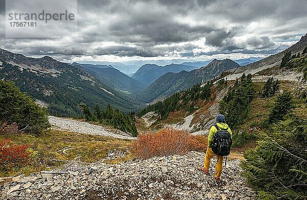 Wanderer auf einem Wanderweg  Blick ins Tal des Butter Creek  herbstliche Berglandschaft  Mount Rainier National Park  Washington  USA  Nordamerika