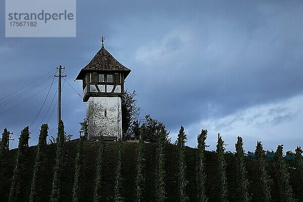 Rebhäuschen bei bewölktem Himmel in den Weinbergen  Haltnau  Meersburg  Baden-Württemberg  Deutschland  Europa