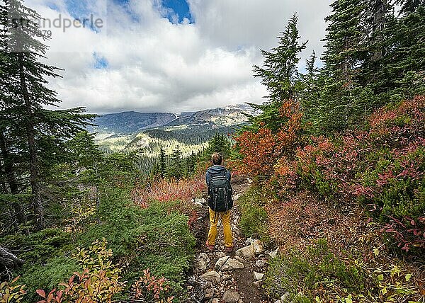 Wanderer auf einem Wanderweg durch herbstlich verfärbte Büsche und Wald  Wanderweg zum Pinnacle Peak  Mount Rainier National Park  Washington  USA  Nordamerika