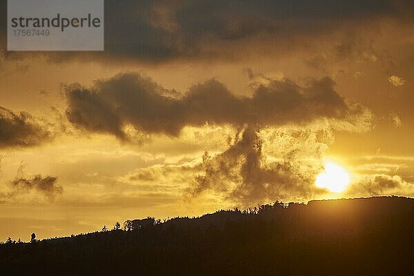 Sonnenuntergang über einem kleinen Hügel  Bayerischer Wald  Bayern  Deutschland  Europa