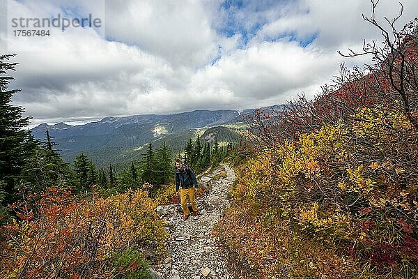 Wanderer auf einem Wanderweg durch herbstlich verfärbte Büsche  Wanderweg zum Pinnacle Peak  Mount Rainier National Park  Washington  USA  Nordamerika