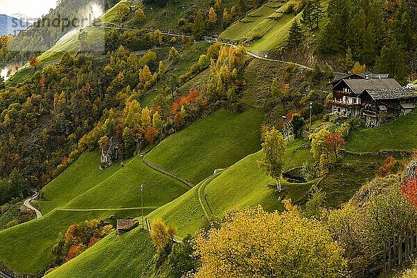 Bergbauernhof in herbstlicher Almwiesen Landschaft  Naturns  Südtirol  Italien  Europa