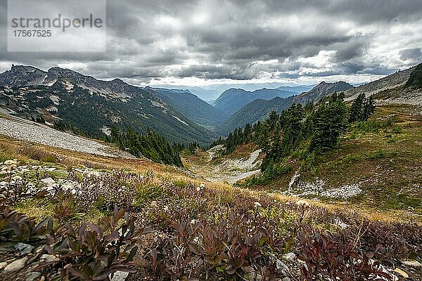 Blick ins Tal des Butter Creek  herbstliche Berglandschaft  Mount Rainier National Park  Washington  USA  Nordamerika