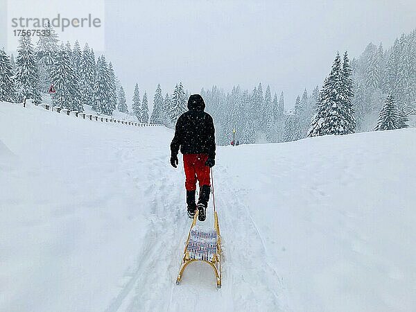 Mann zieht einen Schlitten durch den Schnee  verschneite Landschaft bei Schneefall  Spitzingsee  Oberbayern  Bayern  Deutschland  Europa