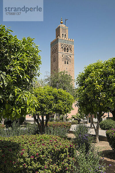 Koutoubia-Moschee  UNESCO-Weltkulturerbe  von den Koutoubia-Gärten aus  Marrakesch  Marokko  Nordafrika  Afrika
