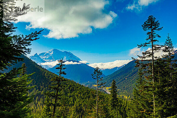 Ansicht des Mount Rainier  eines Stratovulkans in der Cascade Range des pazifischen Nordwestens  im Mount Rainier National Park  Bundesstaat Washington  Vereinigte Staaten von Amerika  Nordamerika