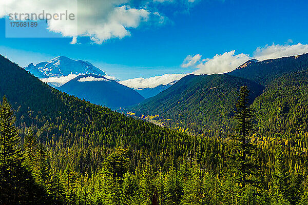 Ansicht des Mount Rainier  eines Stratovulkans in der Cascade Range des pazifischen Nordwestens  im Mount Rainier National Park  Bundesstaat Washington  Vereinigte Staaten von Amerika  Nordamerika