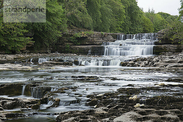 Lower Aysgarth Falls am Fluss Ure  nahe Leyburn  Wensleydale  Yorkshire Dales National Park  North Yorkshire  England  Vereinigtes Königreich  Europa