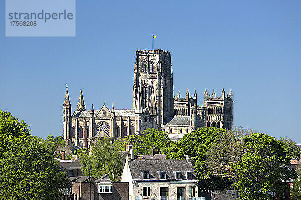 Blick über die Baumkronen auf die Kathedrale von Durham im Frühling  UNESCO-Weltkulturerbe  Durham  County Durham  England  Vereinigtes Königreich  Europa