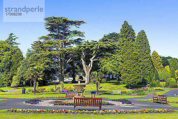 Levengrove Park  Arborteum  Dumbarton  West Dunbartonshire  Schottland  Vereinigtes Königreich  Europa