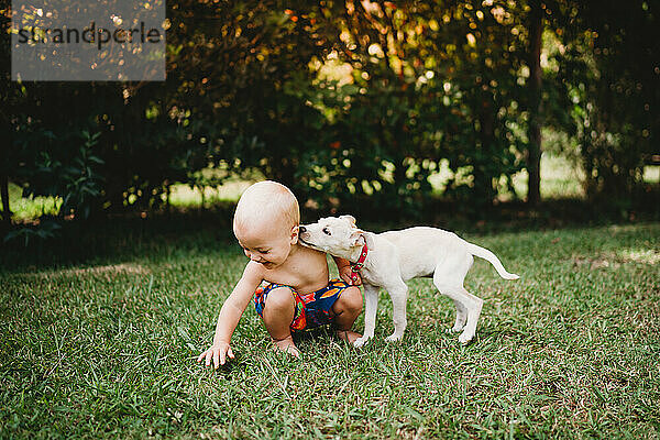 Niedlicher Welpe küsst im Sommer draußen ein entzückendes Kleinkind