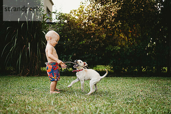 Ein kleiner Junge spielt im Sommer draußen mit einem süßen Welpen mit einem Stock