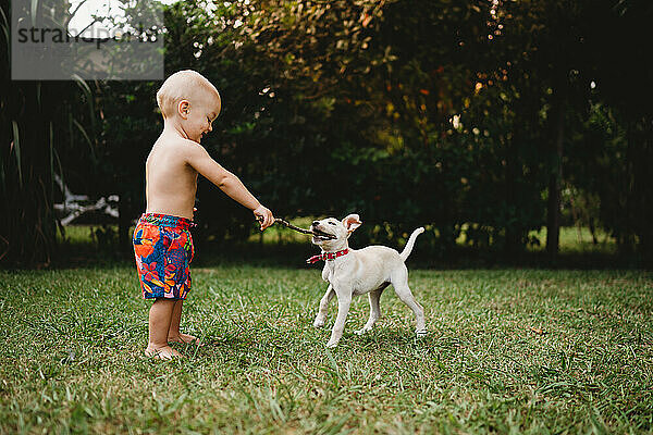 Ein kleiner Junge spielt im Sommer draußen mit einem süßen Welpen mit einem Stock