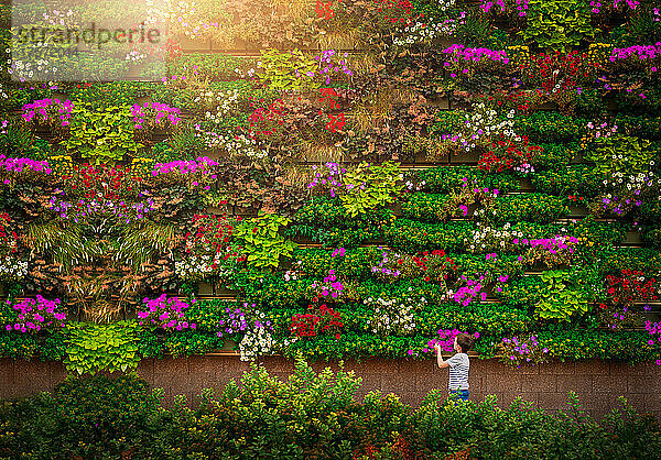 ein kleines Kind  das Blumen von einer Gartenmauer riecht