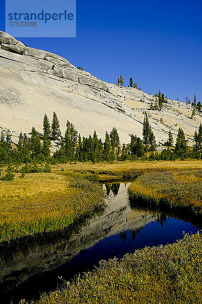Wiese und Bach im Yosemite-Nationalpark