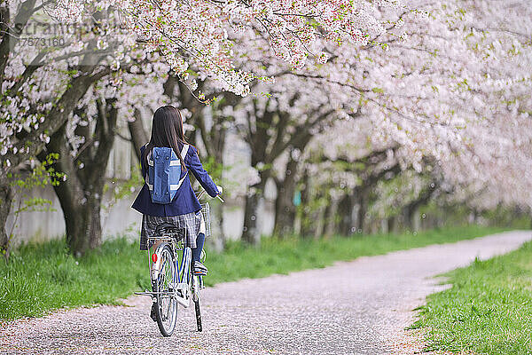 Japanisches Highschool-Mädchen  das Fahrrad fährt