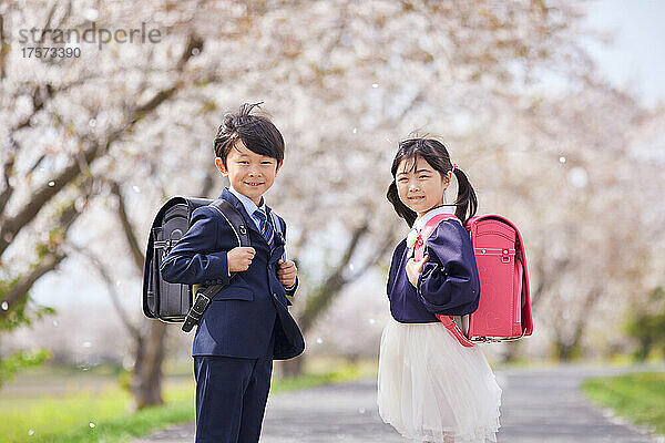 Japanische Grundschüler und unter den Kirschblüten