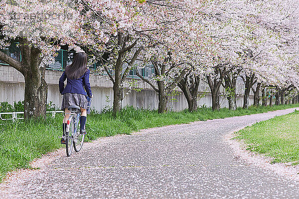 Japanisches Highschool-Mädchen  das Fahrrad fährt