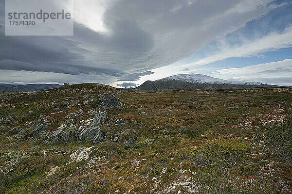 Landschaft im Fjell  Dovrefjell-Sundalsfjella Nationalpark  Norwegen  Europa