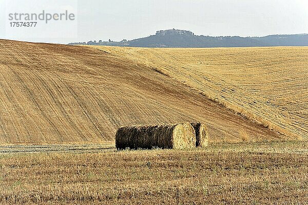 Strohballen  abgeerntete Weizenfelder  südlich von Montepulciano  Toskana  Italien  Europa
