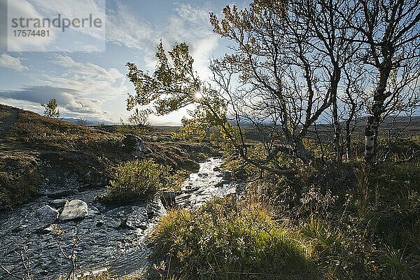 Landschaft im Fjell  Dovrefjell-Sundalsfjella Nationalpark  Norwegen  Europa