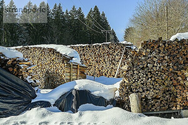 Verschneite Holzstapel bei Hellengerst  Allgäu  Bayern  Deutschland  Europa