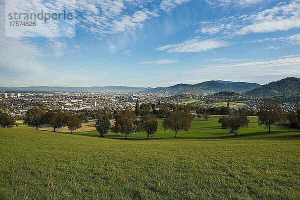 Panorama mit Jesuitenschloss  Freiburg im Breisgau  Schwarzwald  Baden-Württemberg  Deutschland  Europa