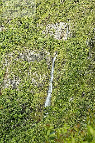 Wasserfall im Black River Gorges National Park  Mauritius  Afrika