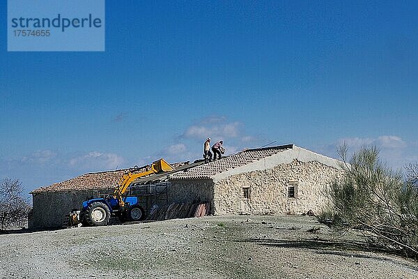 Dachdecker bei Renovierung eines alten Cortijos  Handwerker renovieren Haus  Hausrenovierung  Dachsanierung mit Einsatz von Bagger  Velez Rubio  Andalusien  Spanien  Europa