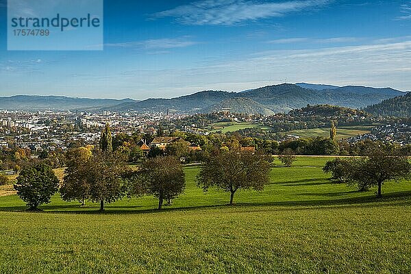 Panorama mit Jesuitenschloss  Freiburg im Breisgau  Schwarzwald  Baden-Württemberg  Deutschland  Europa