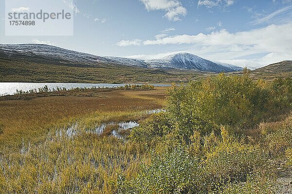 Landschaft im Fjell  Dovrefjell-Sundalsfjella Nationalpark  Norwegen  Europa