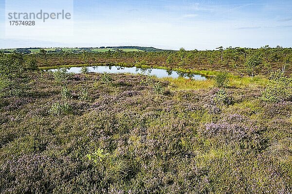 Schwarzes Moor  mit Moorauge oder Moorkolk  Biosphärenreservat Rhön  Bayern  Deutschland  Europa