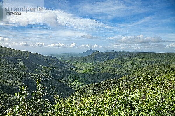 Black River Gorges National Park  Mauritius  Afrika